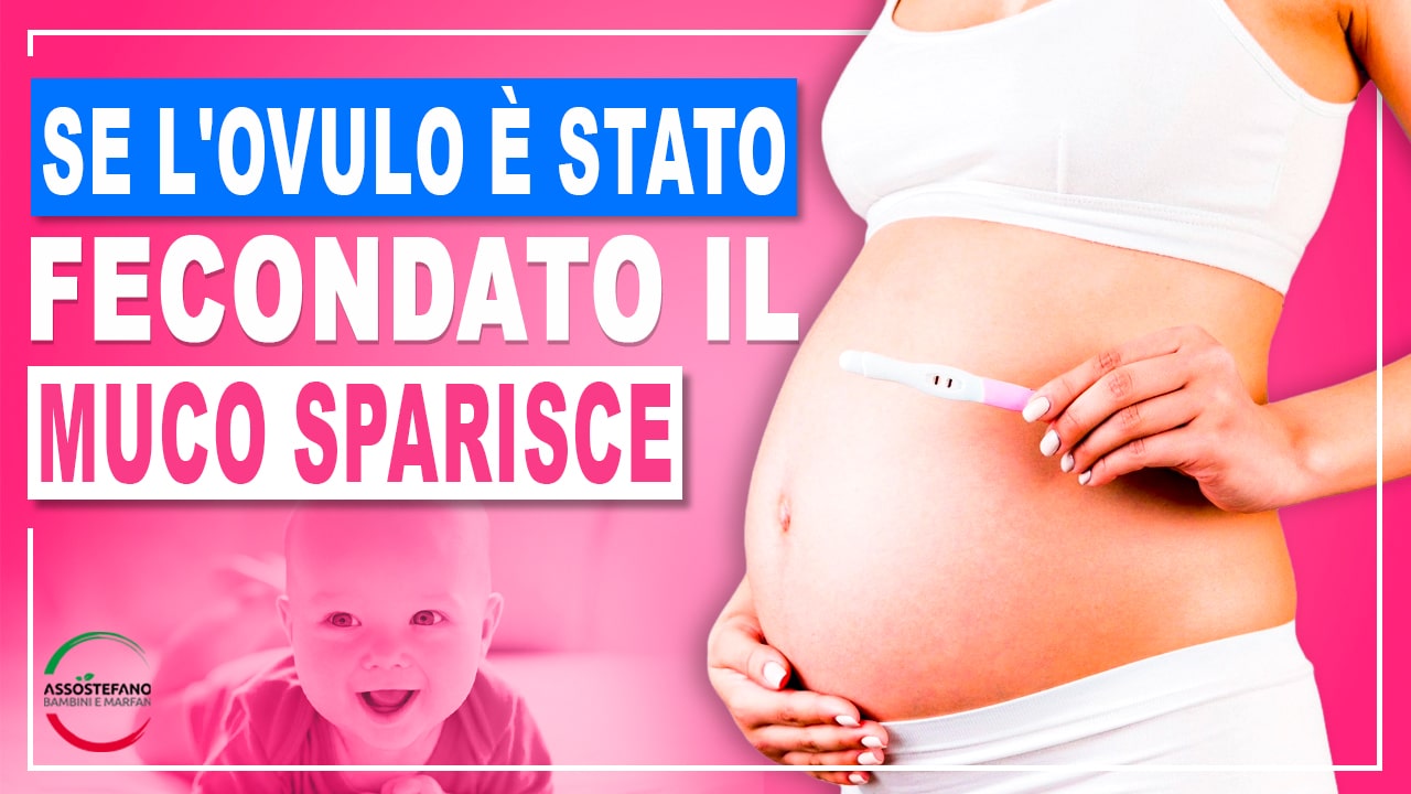 se l ovulo è stato fecondato il muco sparisce forum