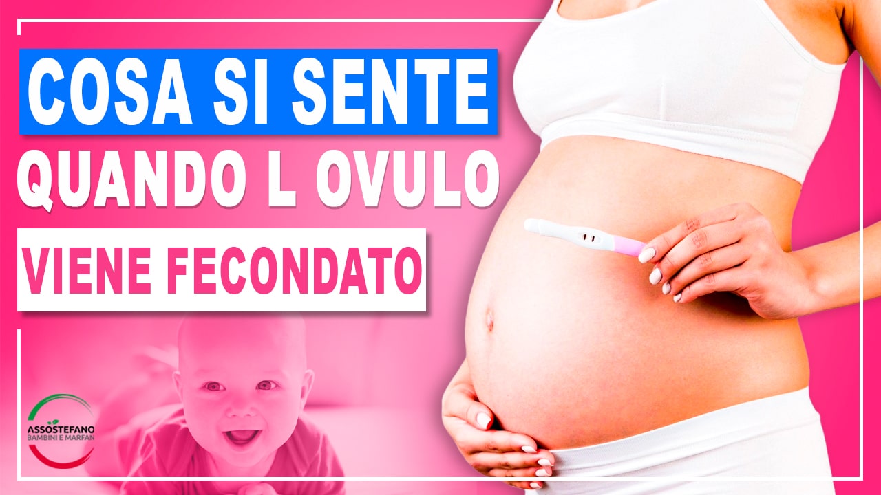 cosa si sente quando l ovulo viene fecondato forum