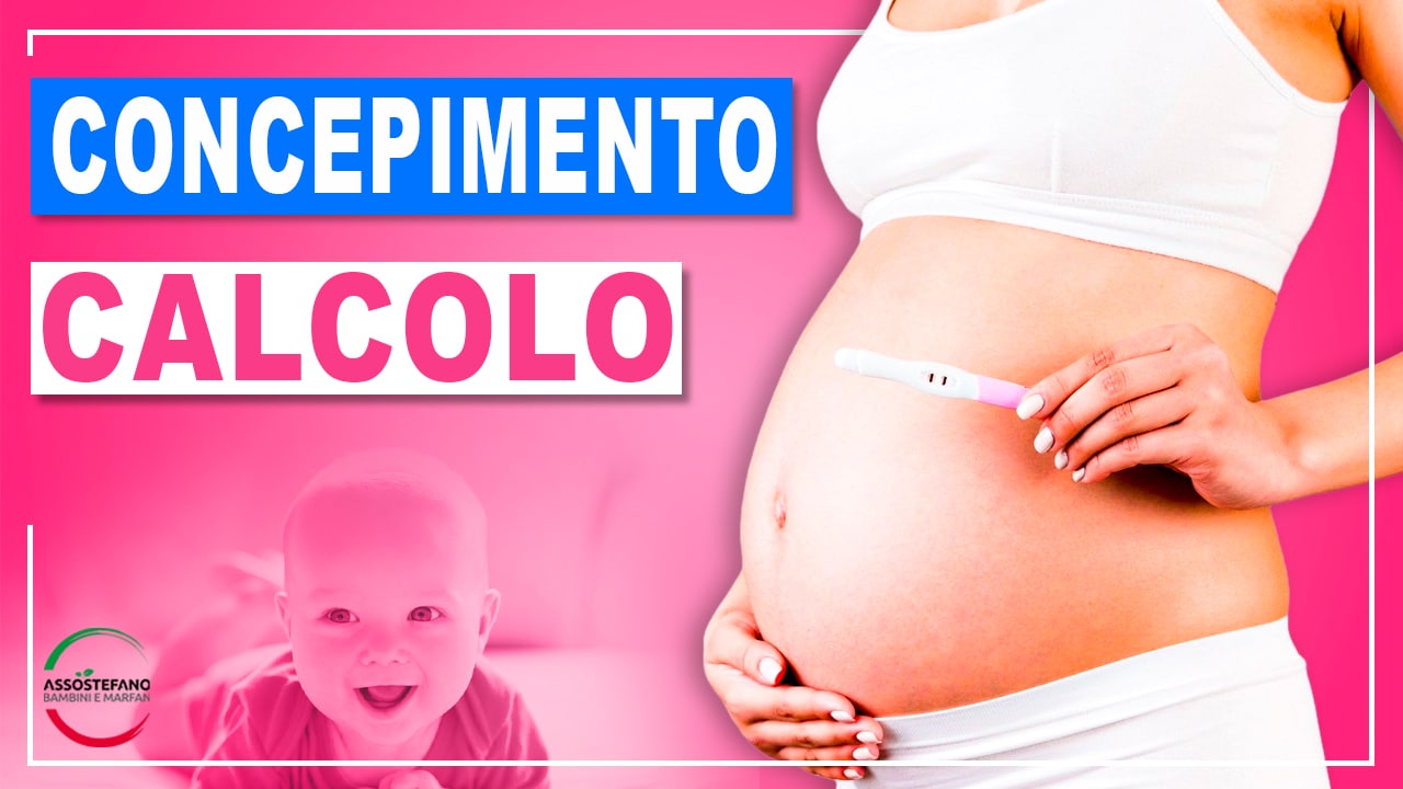 concepimento calcolo